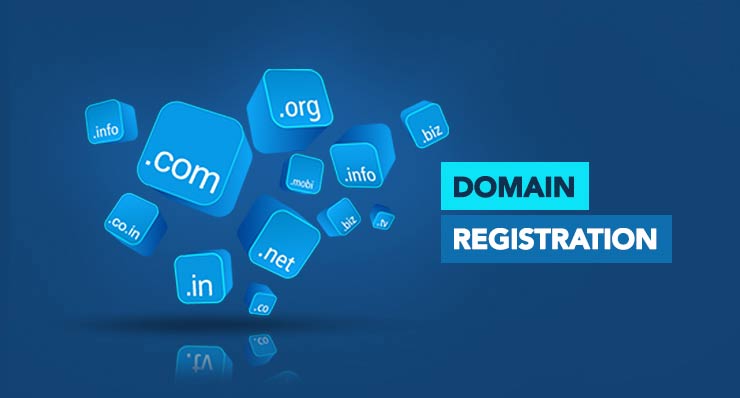 Most Popular Domain Providers